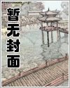 将军登顶峰完整视频